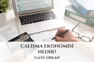 Çalışma Ekonomisi Nedir?