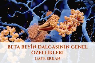 Beta Beyin Dalgasının Genel Özellikleri