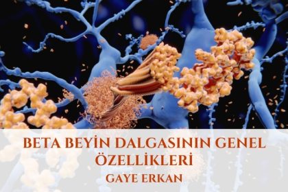 Beta Beyin Dalgasının Genel Özellikleri