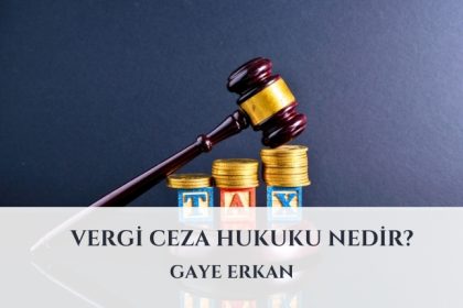 Vergi Ceza Hukuku Nedir?