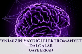 Beynimizin Yaydığı Elektromanyetik Dalgalar