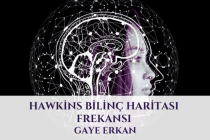 Hawkins Bilinç Haritası Frekansı