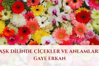 Aşk Dilinde Çiçekler ve Anlamları