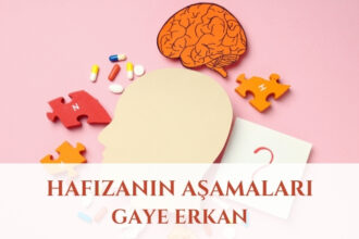 Hafızanın Aşamaları